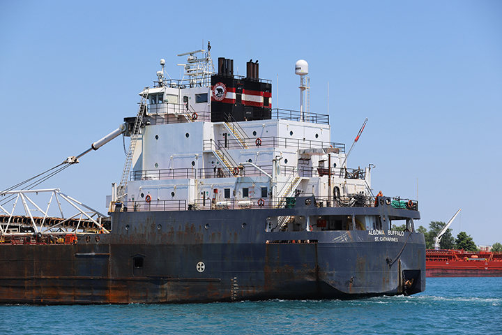 Algoma Buffalo