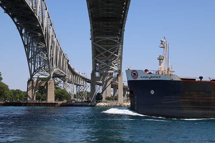 Algoma Buffalo