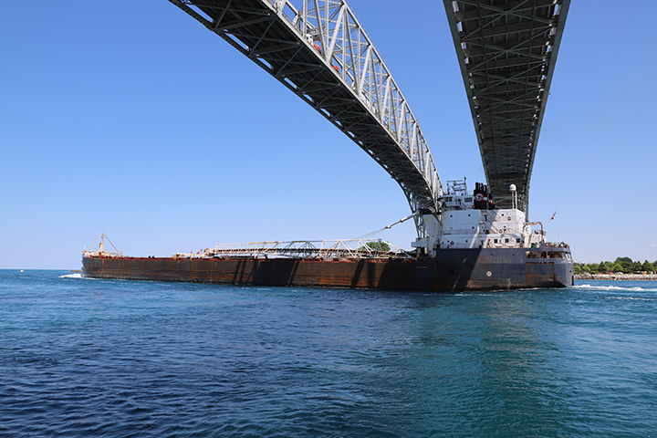 Algoma Buffalo