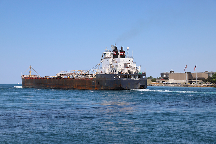 Algoma Buffalo